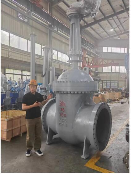 行走閥門江湖數(shù)十載！挺宇流體智能化新工廠預(yù)計(jì)2026年10月投入使用，開啟文化傳播新篇章